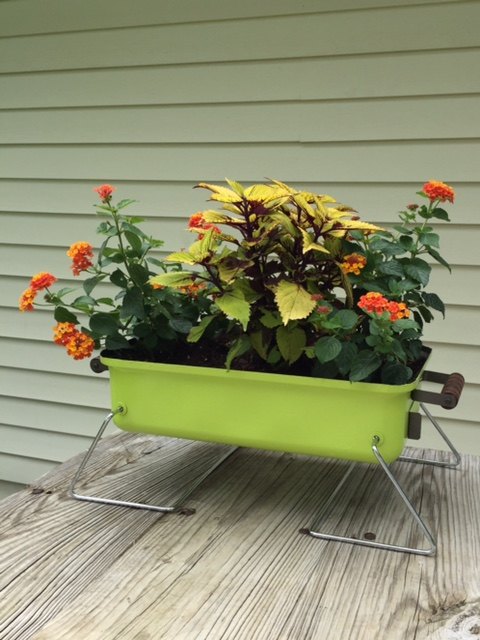 re purposed bbq pit into a planter, container gardening, gardening, repurposing upcycling