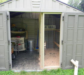 Shed Converted to Chicken Coop | Hometalk
