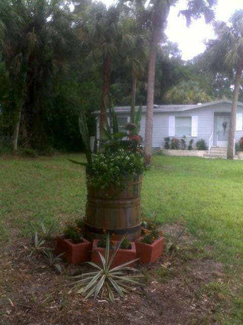 revamped the rain barrel sprinkler, gardening, outdoor living, plumbing, added plants from my yard as well as a few store bought