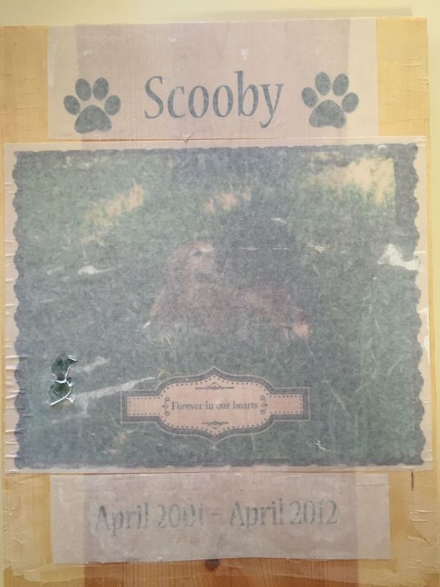 diy pet memorial photo bench, decoupage, diy, how to, outdoor furniture, woodworking projects, Remove towel once image is visible