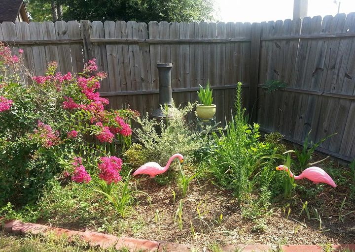 front yard and backyard gardens, flowers, gardening, outdoor living