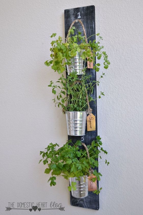 simple jardin vertical de hierbas en la cocina