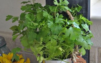 Simple Vertical Kitchen Herb Garden