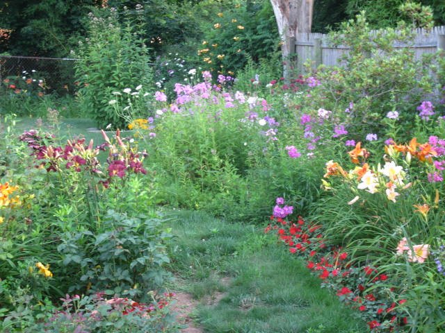 summer of 2015 a visit to luis garden, gardening