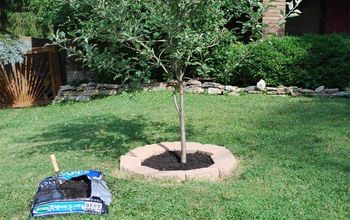 Tree Surround Adds Curb Appeal for Only $30