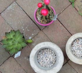 how to make concrete planters, concrete masonry, container gardening, gardening, how to, succulents, Step 7 Add the Finishing Touches