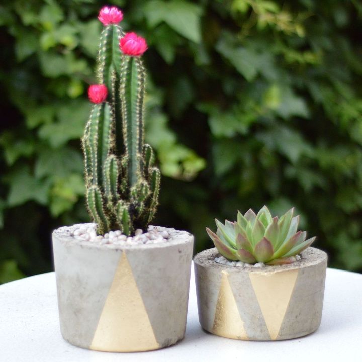 how to make concrete planters, concrete masonry, container gardening, gardening, how to, succulents, Finished concrete planters