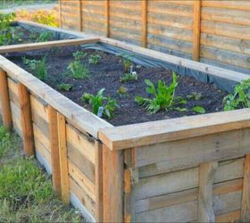 diy ideas to use pallets in the garden, container gardening, gardening, pallet, repurposing upcycling, Raised Bed