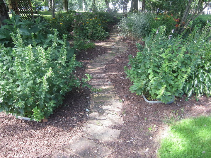 cmo limpiar la pasarela de ladrillos de un jardn