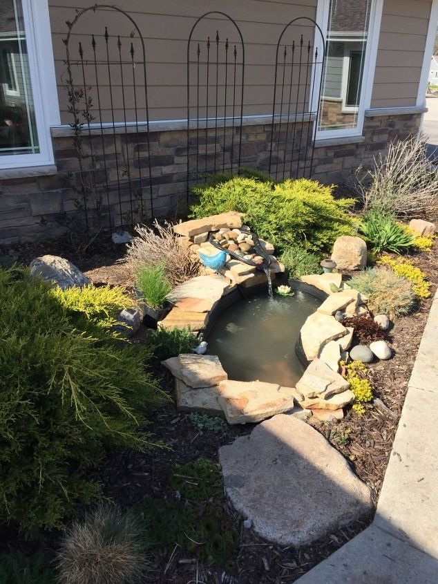 Build Your Dream Pond Paradise Using A 55 Gallon Pond Liner Hometalk