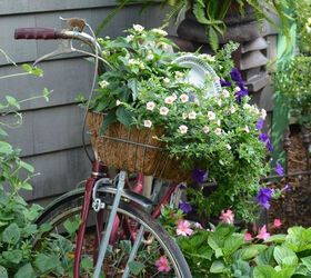 gardening on wheels a bicycle planter, container gardening, gardening, repurposing upcycling