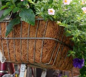 gardening on wheels a bicycle planter, container gardening, gardening, repurposing upcycling
