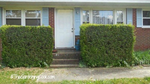 tips for a front door make over, curb appeal, doors, how to