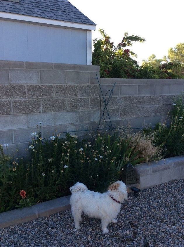 q soundproof concrete block fence, concrete masonry, fences, Concrete block fence and one of the culprits