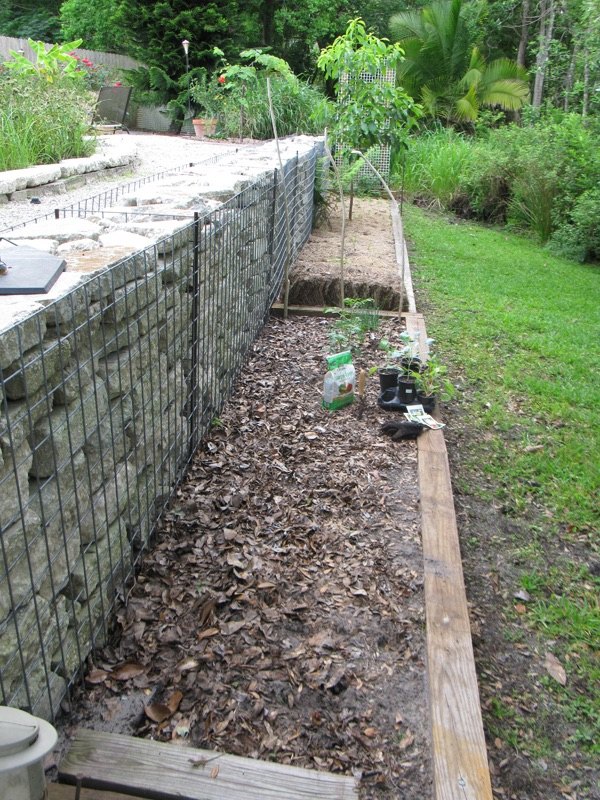 backyard ideas for gabion walls, concrete masonry, gardening, outdoor living