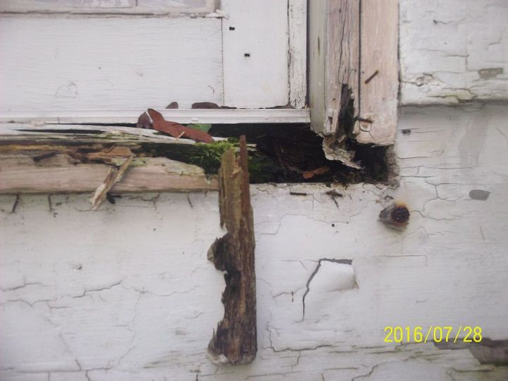 q old house worth my time and money, home improvement, home maintenance repairs, Outer boards of some windows are rotted out as well Can see bugs crawling in and out