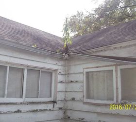 q old house worth my time and money, home improvement, home maintenance repairs, Gutters all around the house are fallen or simply missing This one should be easy enough to fix