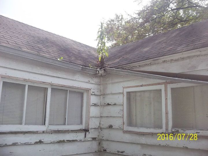 q old house worth my time and money, home improvement, home maintenance repairs, Gutters all around the house are fallen or simply missing This one should be easy enough to fix