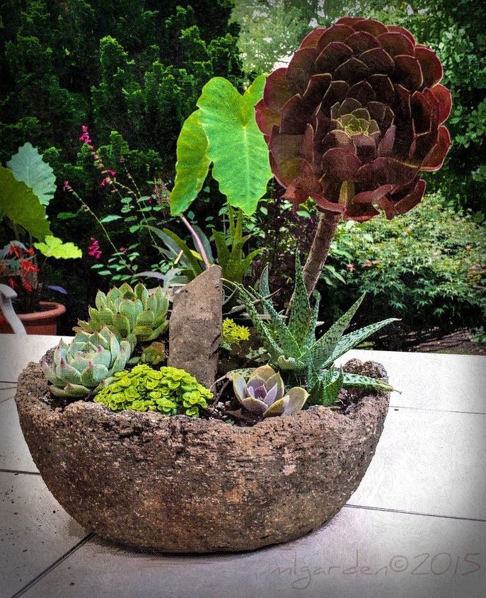 planting your hypertufa container