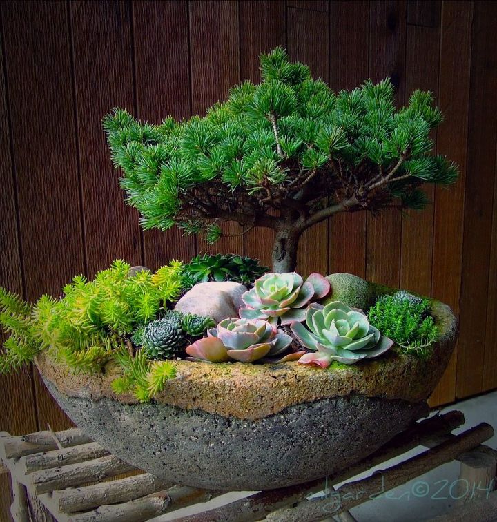 planting your hypertufa container