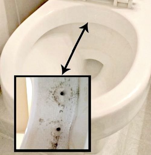 7 miraculous tricks to keep your toilet clean for longer, Project via HomeSpot HQ
