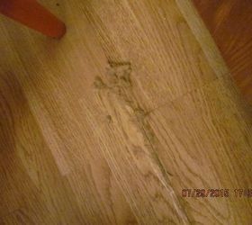 q water damaged wood floor boards, flooring, home maintenance repairs, woodworking projects