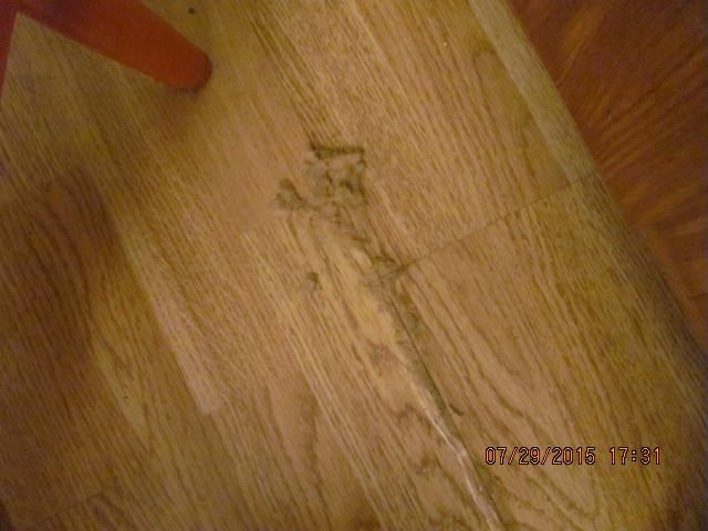 q water damaged wood floor boards, flooring, home maintenance repairs, woodworking projects