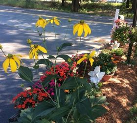 q how to transplant perennials, flowers, gardening, perennial
