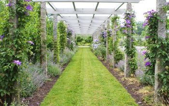 These Breathtaking Pictures of Clematis Are All You Need to See Today