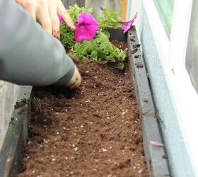 how to plant a window box, container gardening, flowers, gardening