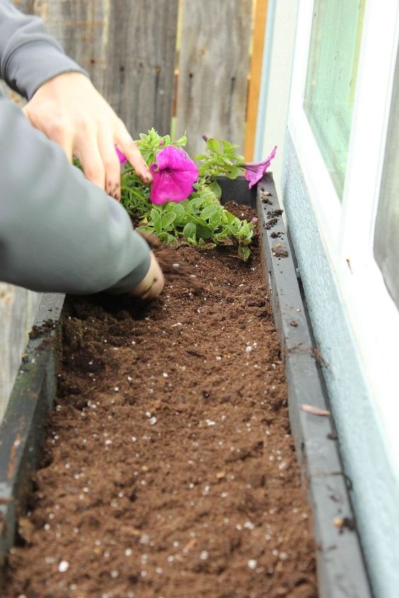 how to plant a window box, container gardening, flowers, gardening