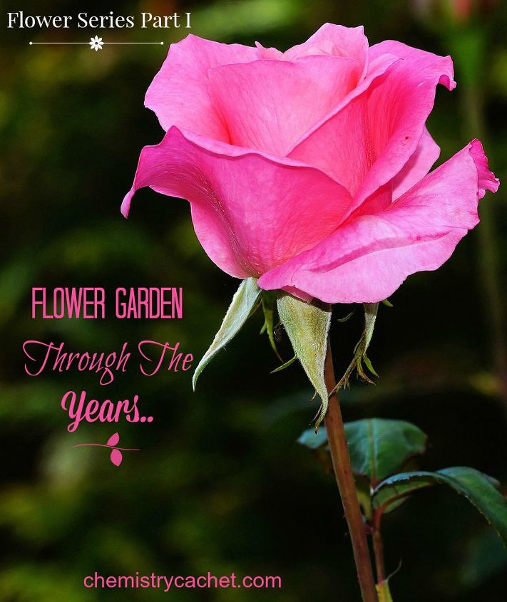 flower garden through the years small apartment to house, flowers, gardening