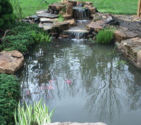 pond renovation and updating, ponds water features, After A natural looking water feature