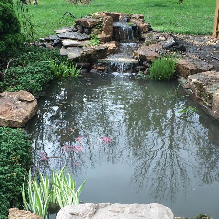 pond renovation and updating, ponds water features, After A natural looking water feature