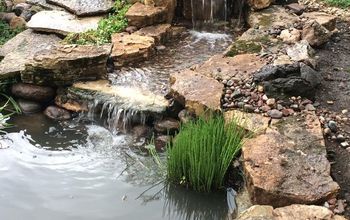 Pond Renovation and Updating
