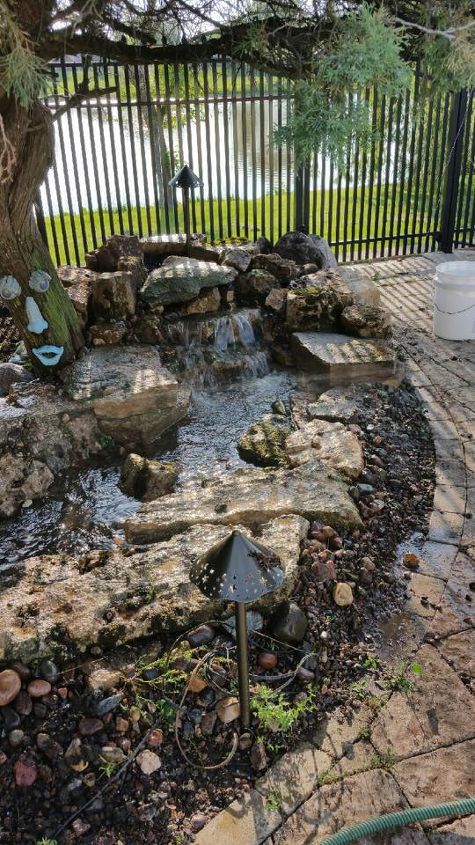pond renovation and updating, ponds water features