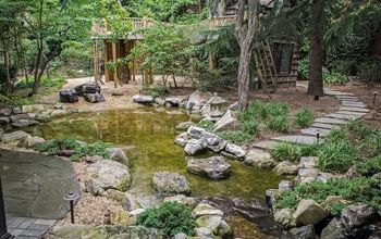 Natural Playscapes: Pond and Playground Oasis in City Backyard