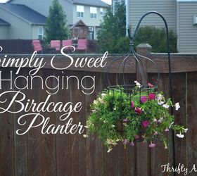 diy simply sweet hanging up cycled birdcage planter, container gardening, gardening, repurposing upcycling