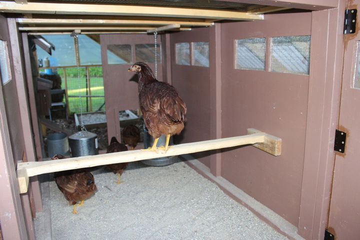 como construir un complejo de condominio de pollos en la casa pequena homestead