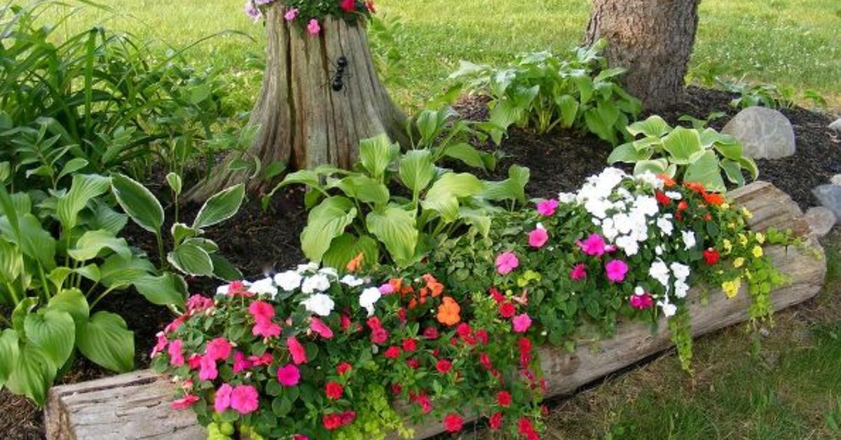 11 Pictures Of Crazy Cool Uses For Tree Stumps Hometalk