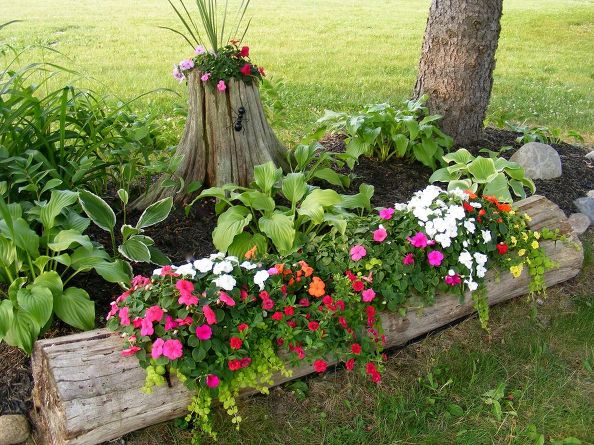 11 pictures of crazy cool uses for tree stumps, Photo via Mickey