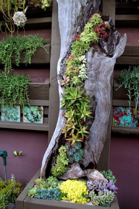 11 pictures of crazy cool uses for tree stumps, Photo via Jessica Johnson on flickr