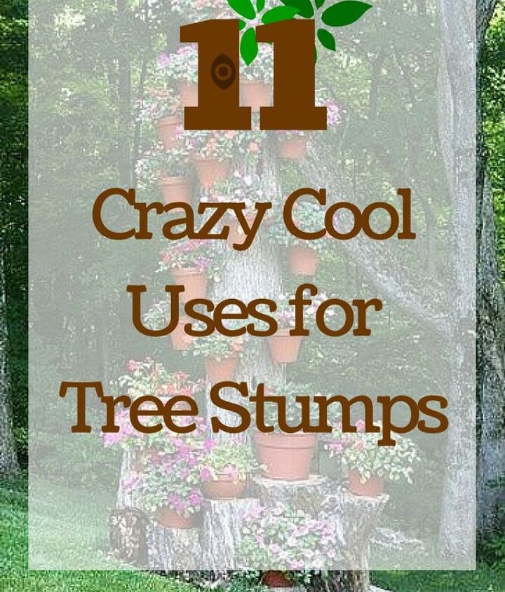 11 Pictures of Crazy Cool Uses for Tree Stumps | Hometalk