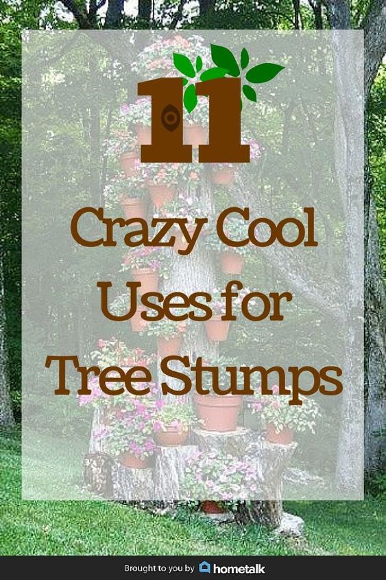11 pictures of crazy cool uses for tree stumps
