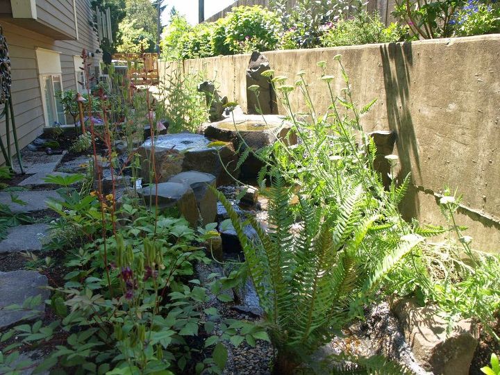 urban japanese garden, decks, gardening, landscape, outdoor living, ponds water features, Side Yard Stream