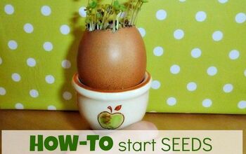  Como iniciar sementes em cascas de ovo - mantenedores de custo zero!