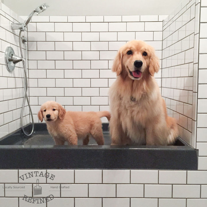 Diy Outdoor Dog Shower Designs Diy Outdoor Dog Shower Designs