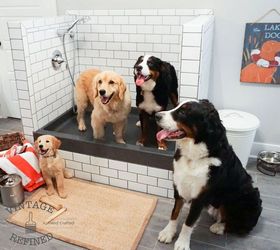 diy dog shower, bathroom ideas, foyer, pets animals