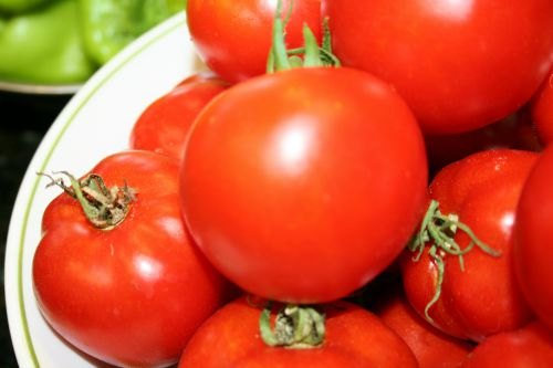 problemas com tomates e como corrigi los