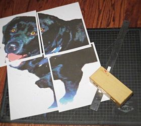 how to make a paint by numbers ish pet portrait, crafts, how to, wall decor